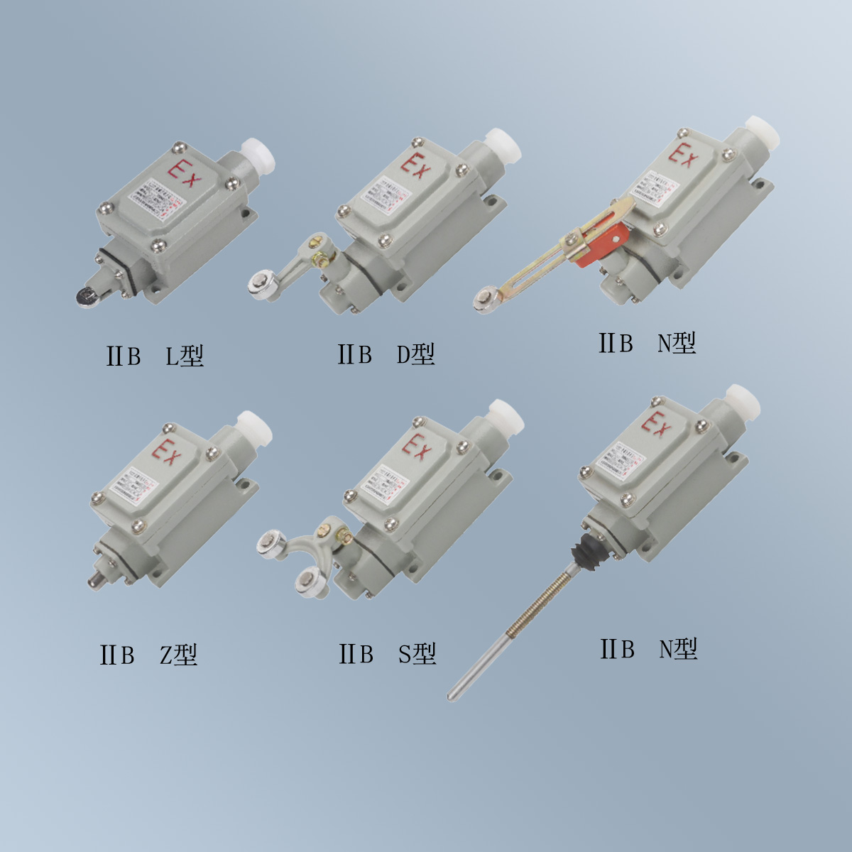 BLX5 系列防爆行程開關 (ⅡB) BLX5 系列防爆行程開關 (ⅡB)